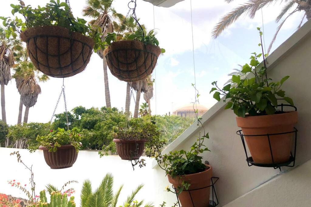 Modern & Spacious Studio Isla, Puerto Del Carmen ティアス エクステリア 写真