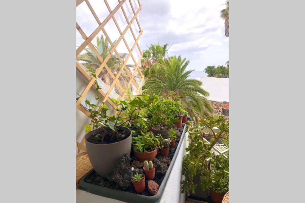 Modern & Spacious Studio Isla, Puerto Del Carmen ティアス エクステリア 写真